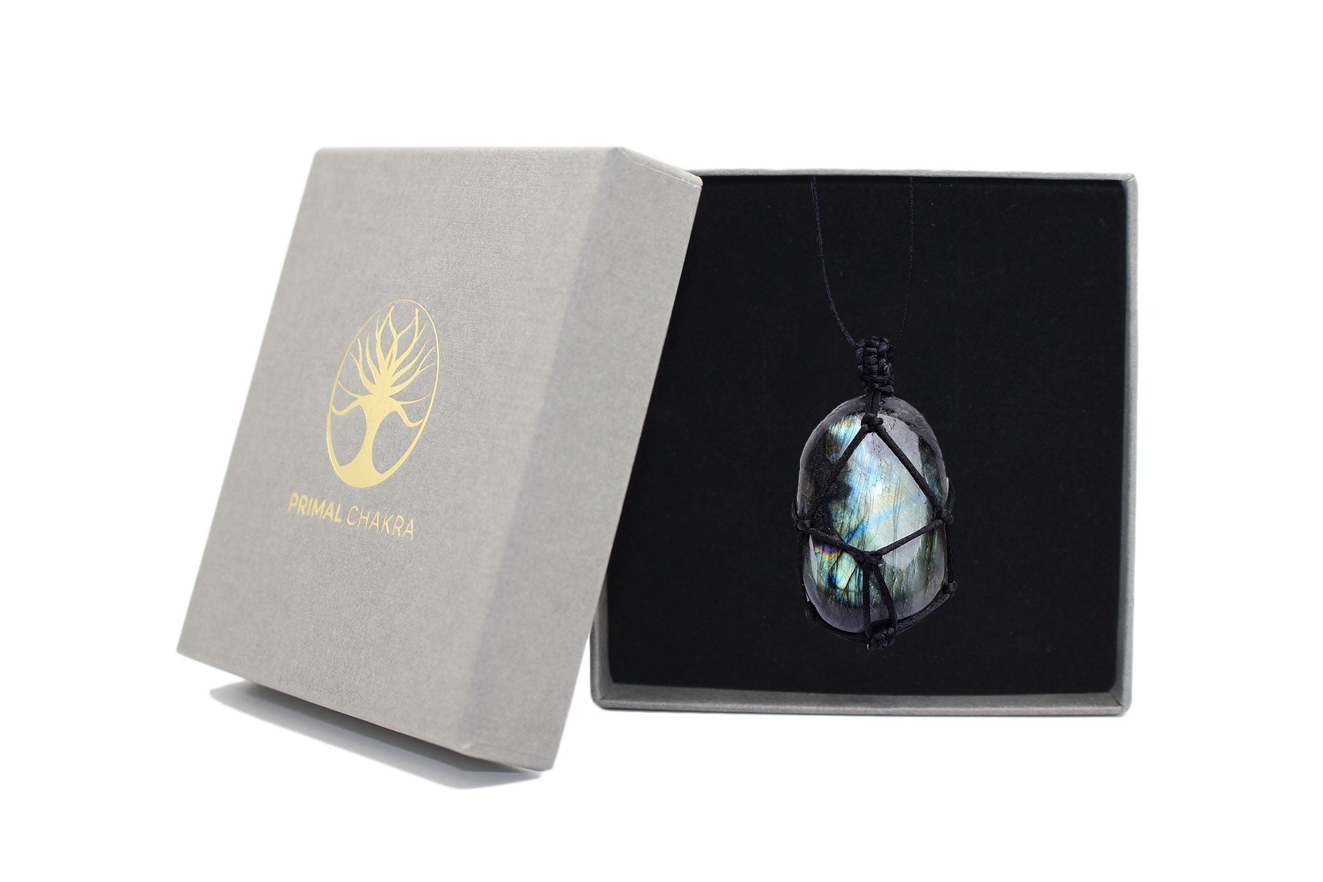 Labradorite Winding Necklace with a Black Rope Cord Primal Chakra