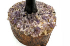 Reiki Energy Charged Amethyst Wood Base Tree Of Life Primal Chakra