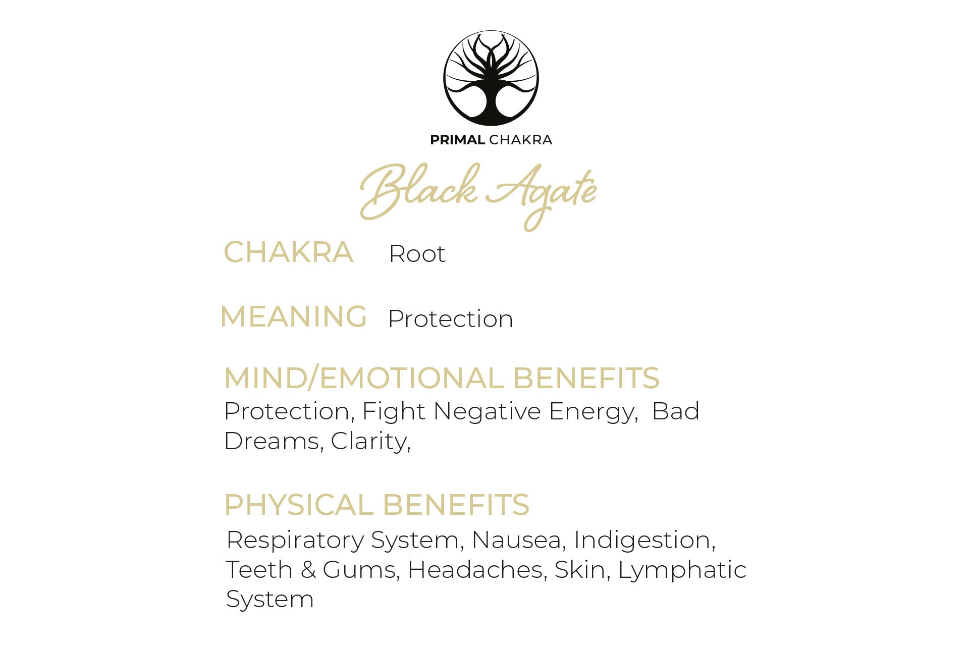 Black Agate Eclipse Moon Pendant with a Gold Chain Primal Chakra