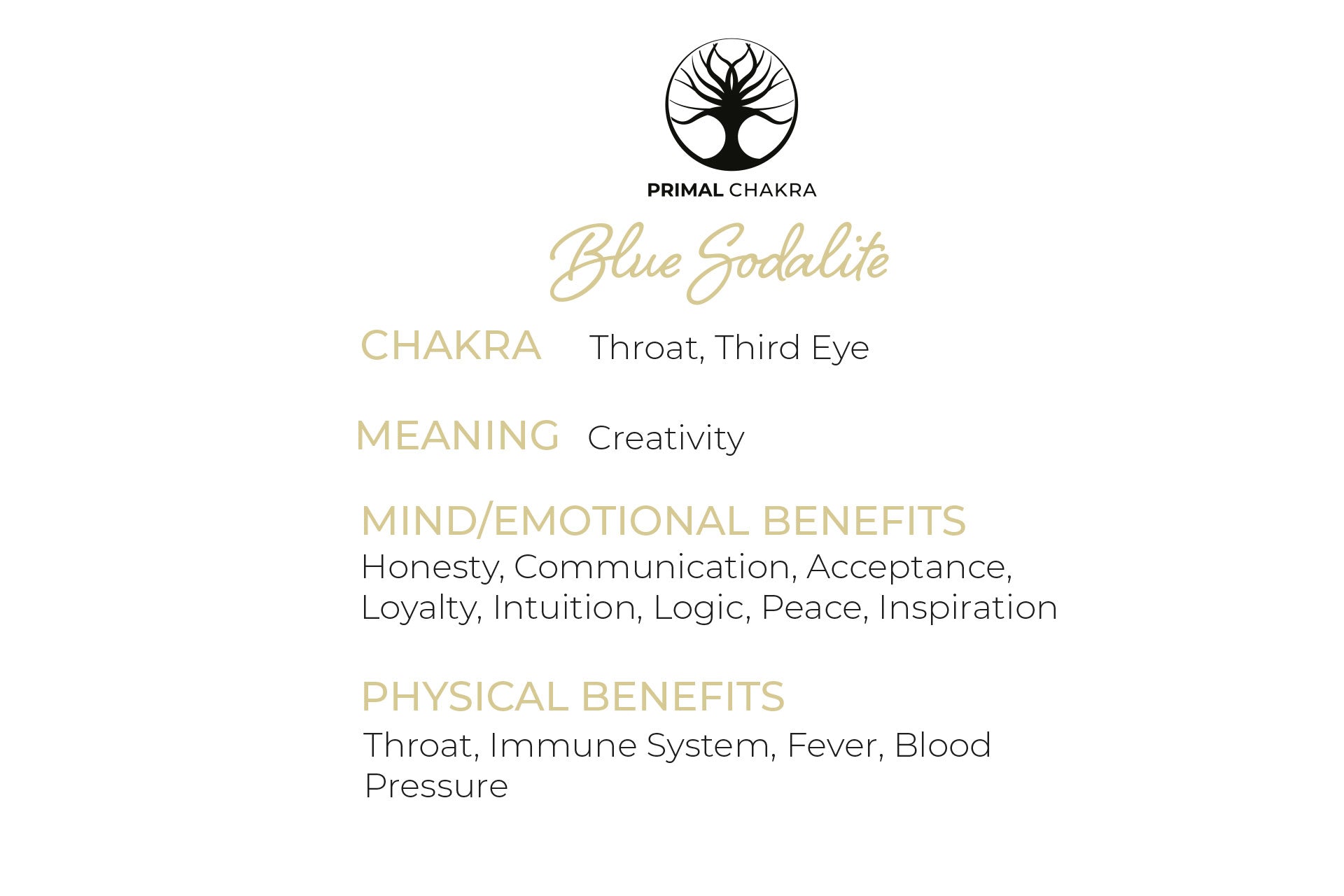 Blue Sodalite Crystal Dagger Pendant with Silver Chain Primal Chakra