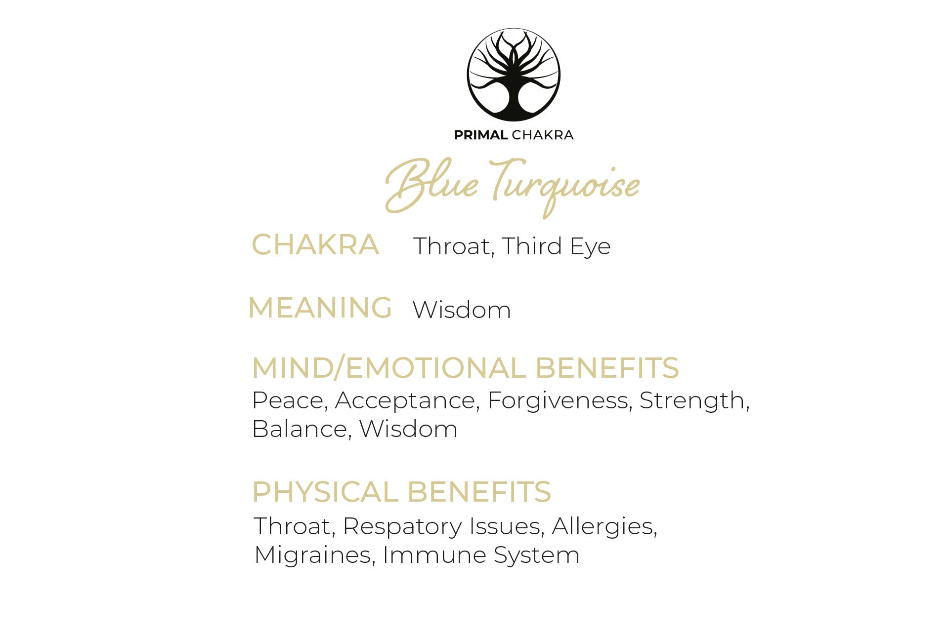 Blue Turquoise Round Tree Of Life Pendant with Silver Chain Primal Chakra