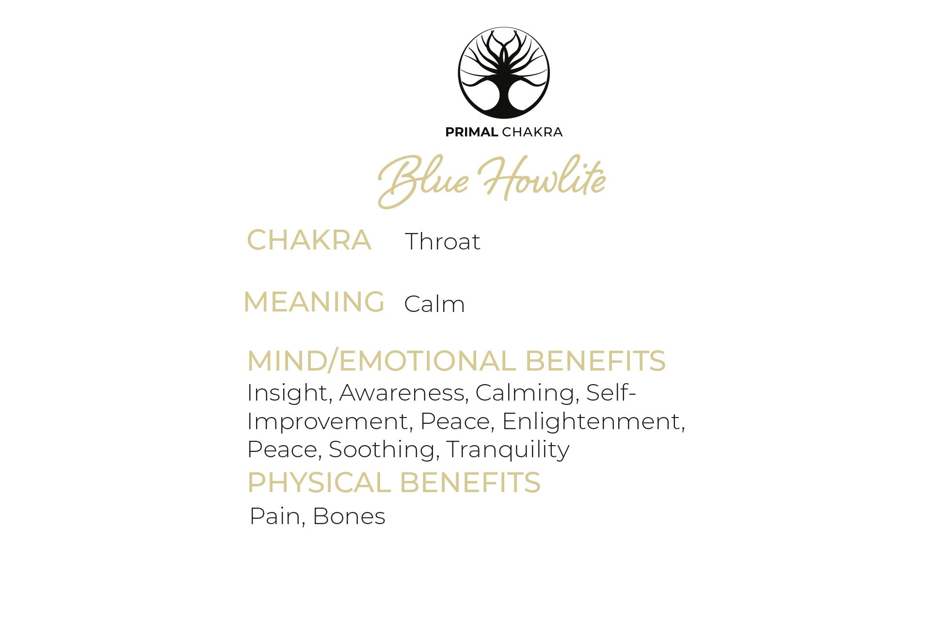 Blue Howlite Crystal Dagger Pendant with Silver Chain Primal Chakra