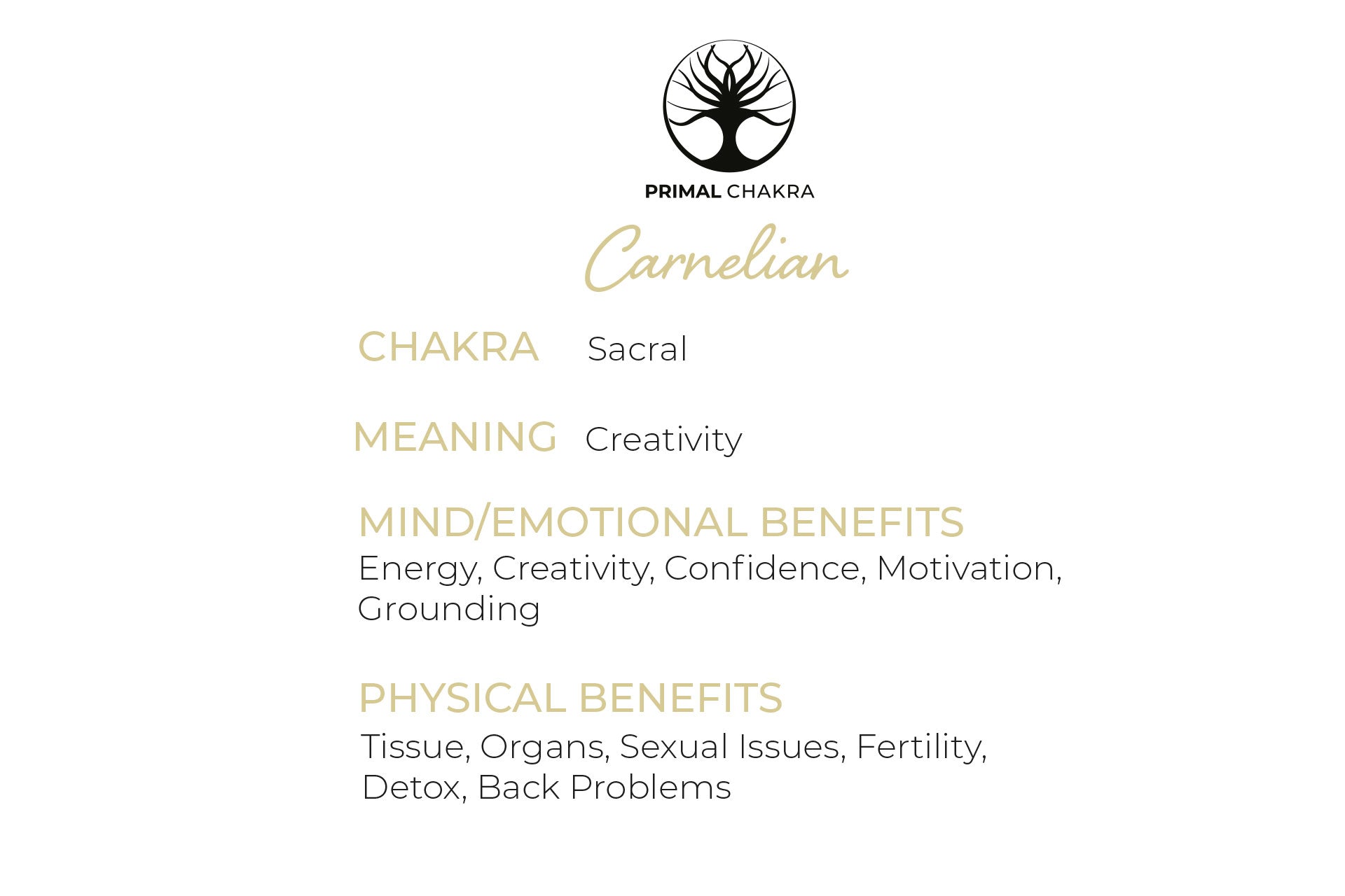 Pure Carnelian Orgone Reiki Energy Charged Pyramid Primal Chakra