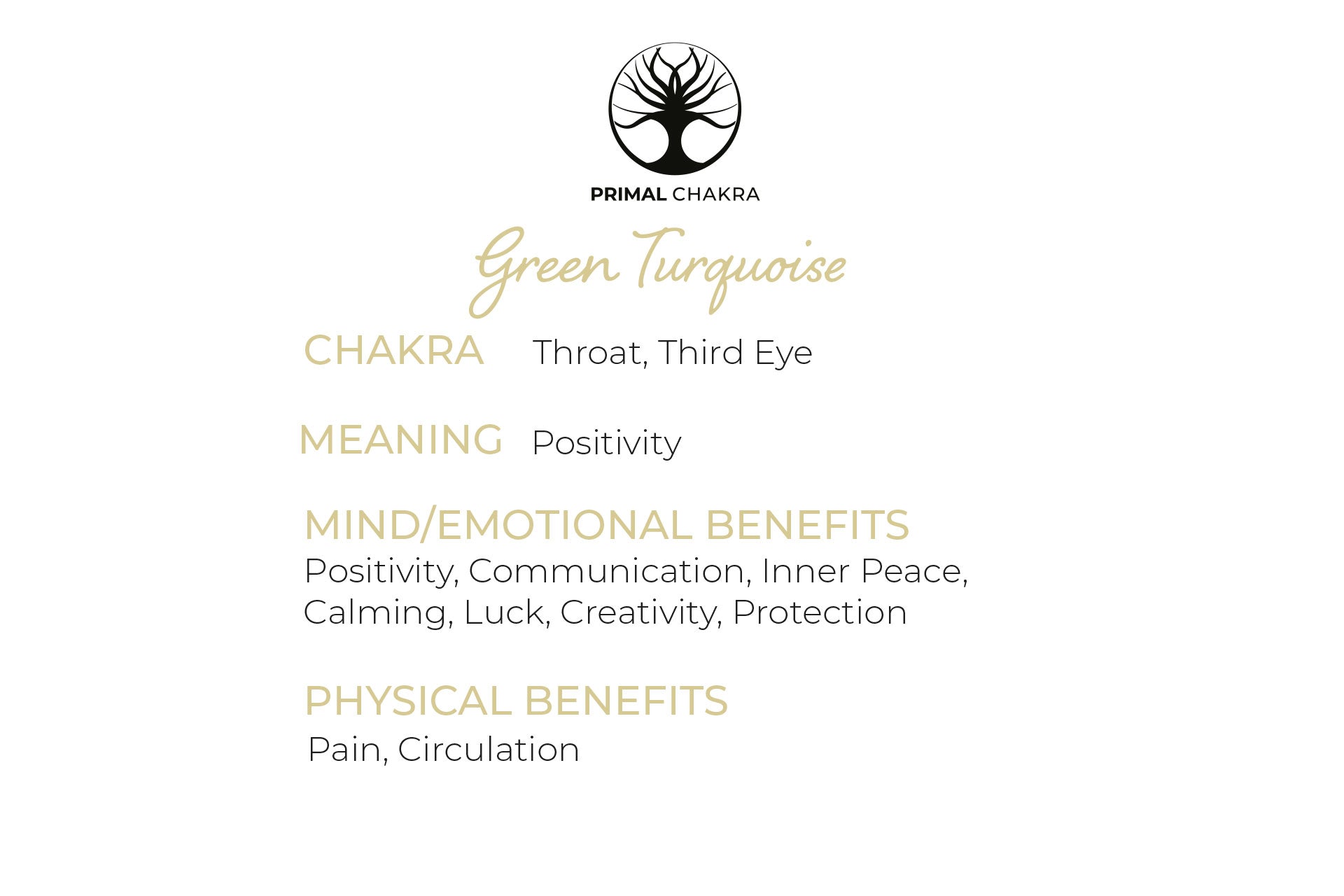 Green Turquoise Dagger Pendant with a Silver Chain Primal Chakra