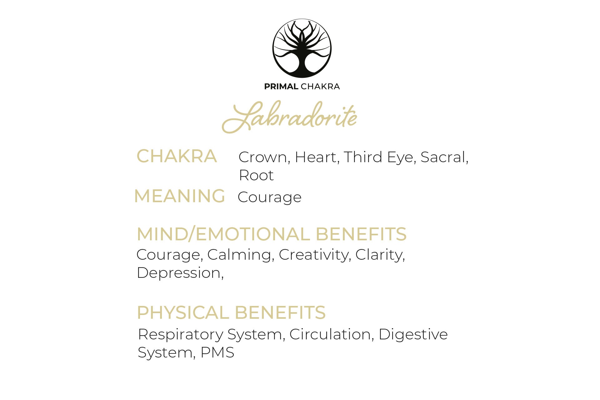 Labradorite Eclipse Moon Pendant with a Gold Chain Primal Chakra