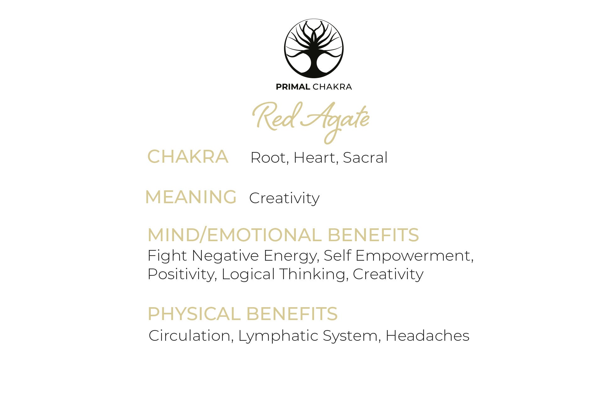 Red Agate Triangle Pendant with Silver Chain Primal Chakra