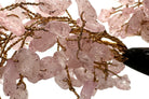 Reiki Energy Charged Rose Quartz Wood Base Tree Of Life Primal Chakra
