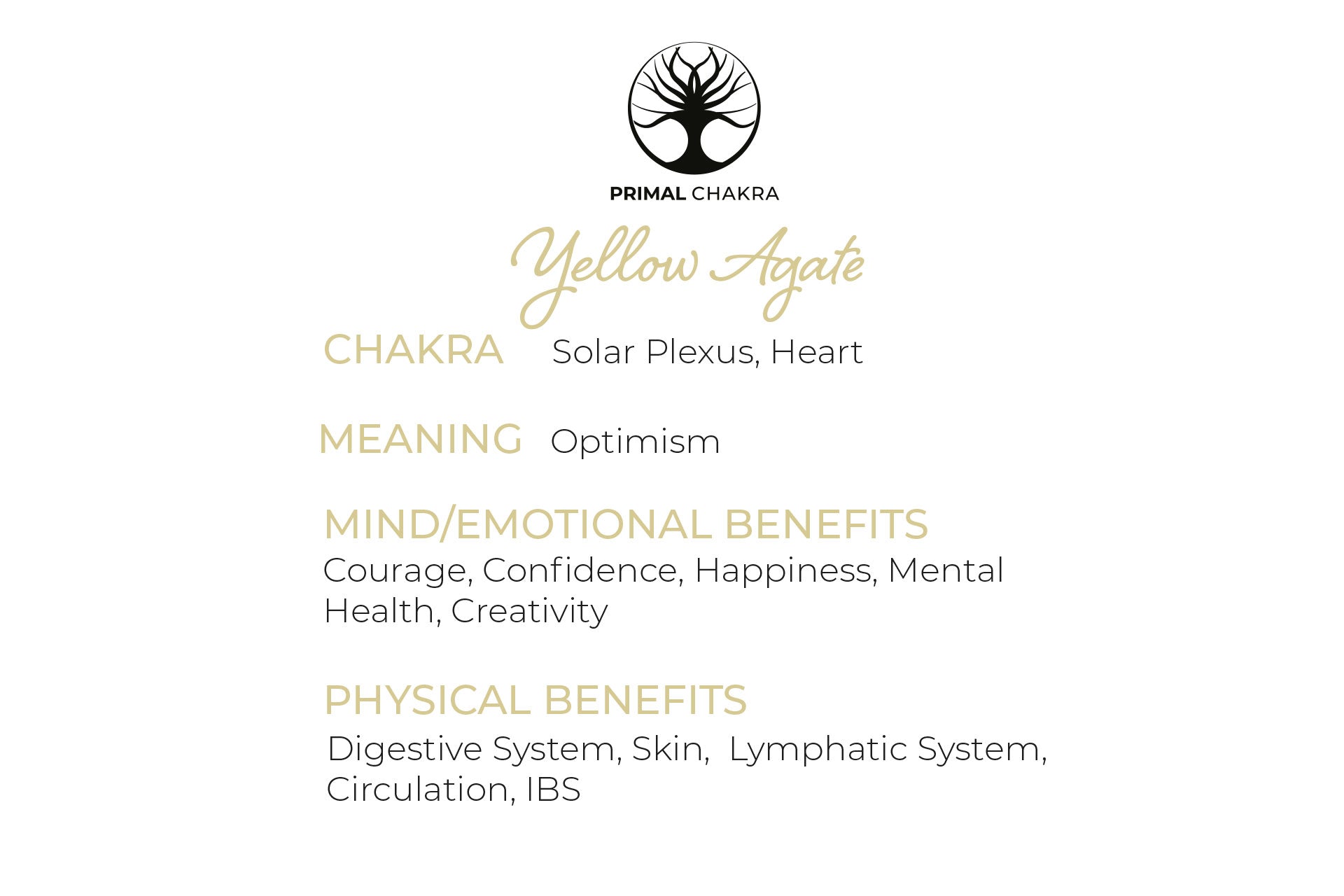 Yellow Agate Round Tree Of Life Pendant with Silver Chain Primal Chakra