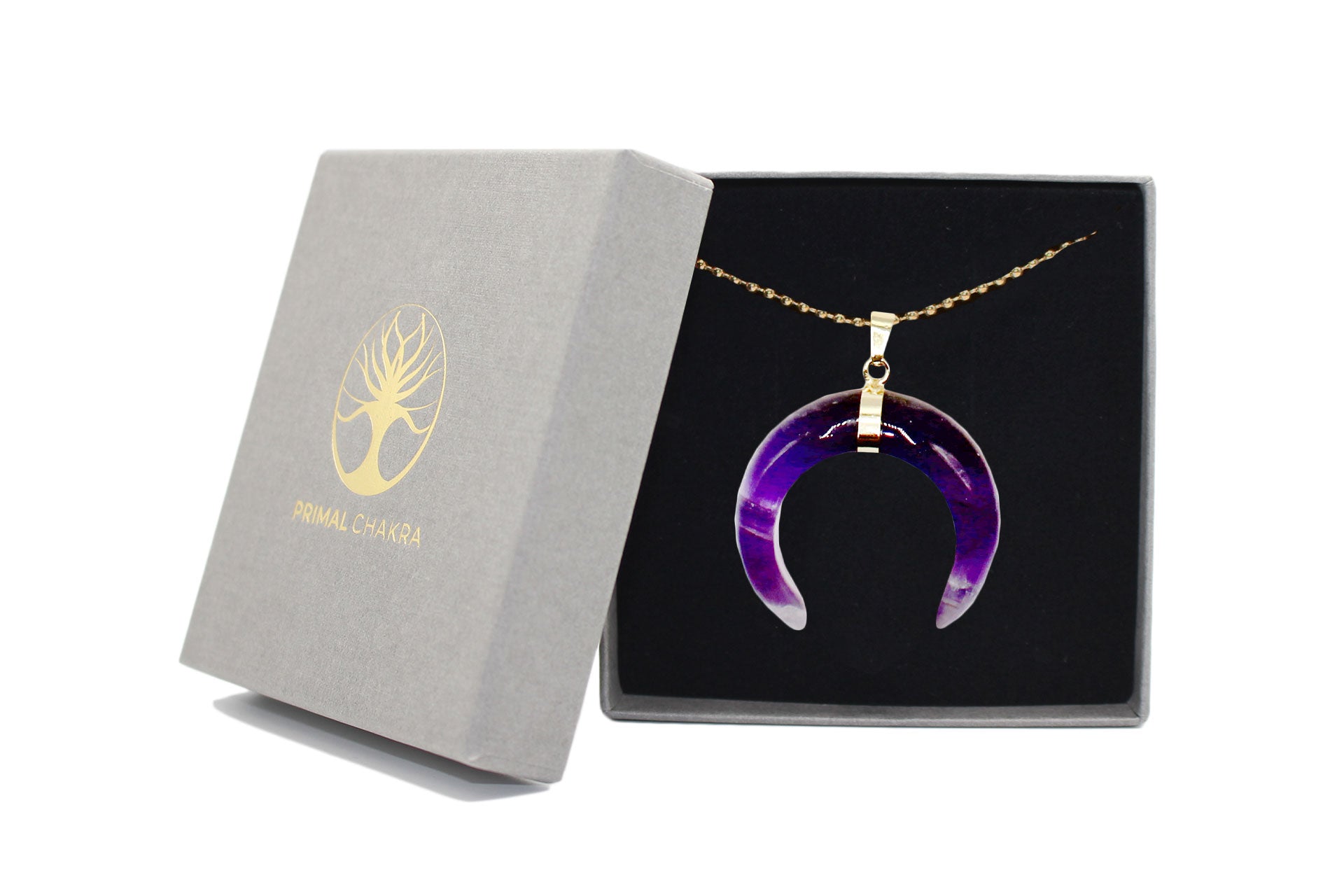 Amethyst Eclipse Moon Pendant with a Gold Chain Primal Chakra