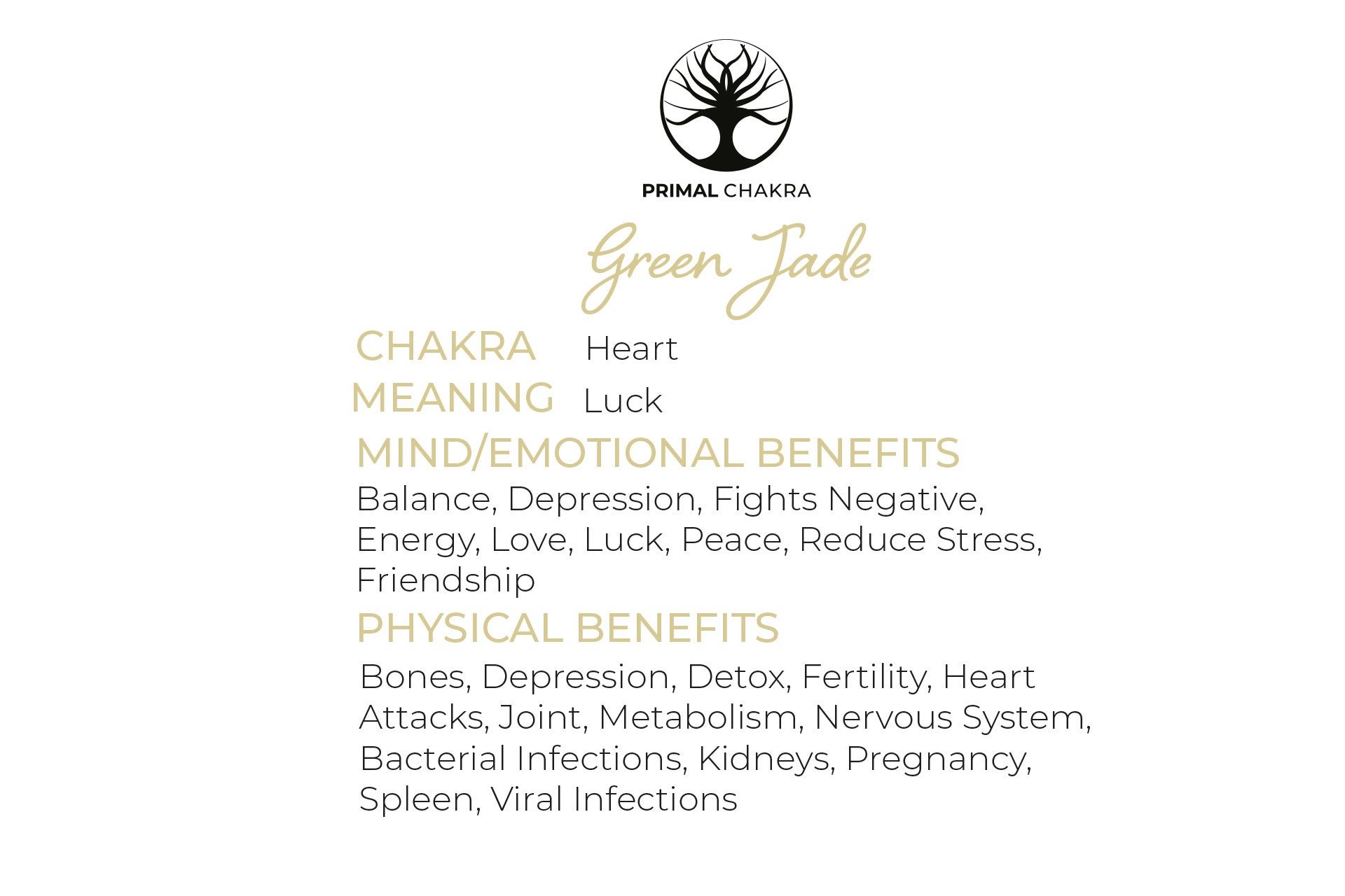 Medium Green Jade Raw Rough Crystal - Approx 2-4cm Primal Chakra