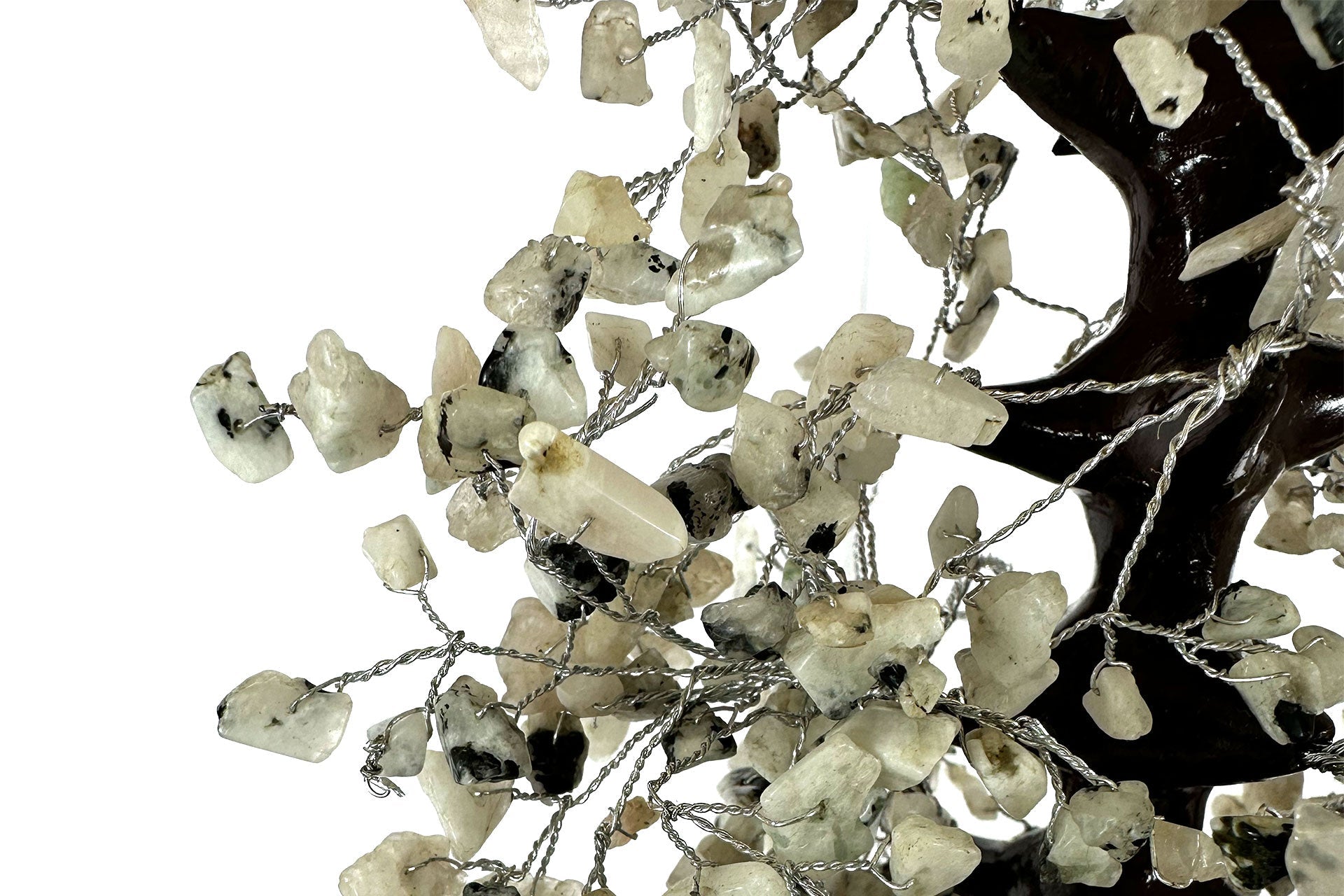 Extra Large Reiki Energy Charged Rainbow Moonstone Wood Base Tree Of Life Primal Chakra